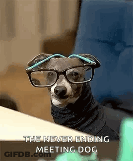 A Small Dog Wearing Glasses And A Turtleneck Is Sitting At A Table . GIF
