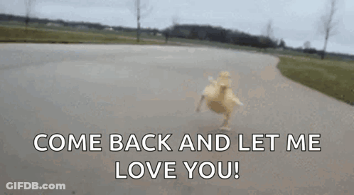 A Small Duck Is Running Down A Road With The Words Come Back And Let Me Love You . GIF
