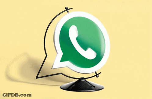 A Small Globe With A Green And White Whatsapp Logo On It GIF