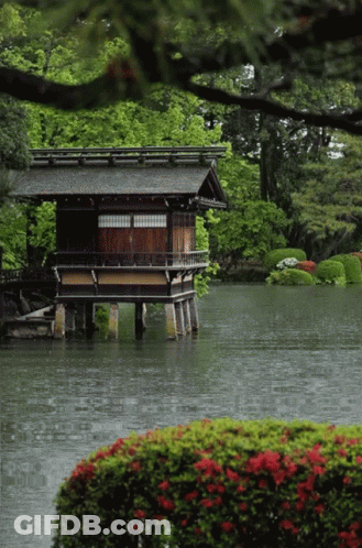 A Small House Sits On Stilts Over A Body Of Water GIF