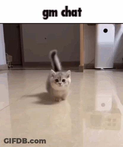 A Small Kitten Is Walking On A Marble Floor In A Room . GIF