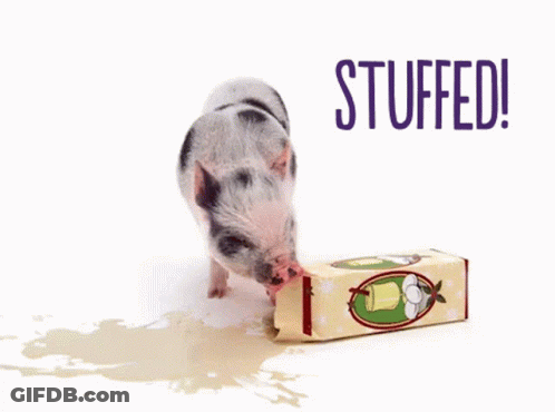 A Small Pig Laying Next To A Box Of Stuffed GIF