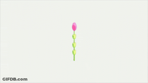 A Small Pink Flower With Green Leaves On A White Background GIF