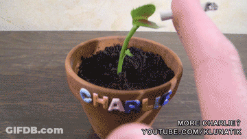 A Small Plant In A Pot With The Name Charlie On It GIF