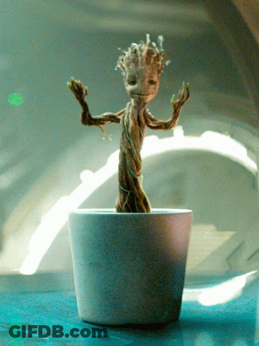 Dancing Small Plant In White Pot GIF