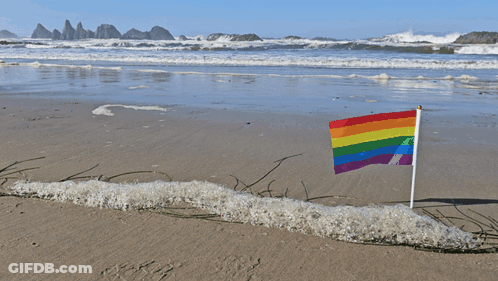 A Small Rainbow Flag Is On The Beach Near The Water GIF