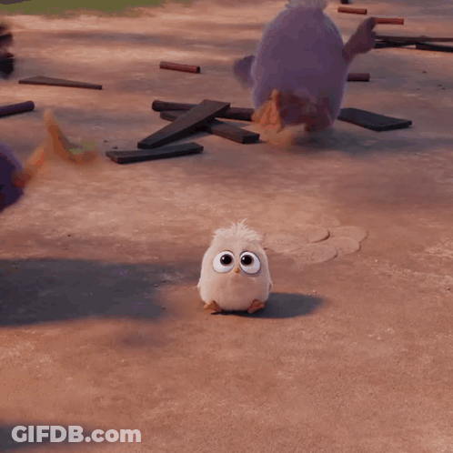 White Cartoon Bird With Big Eyes And Yellow Beak GIF