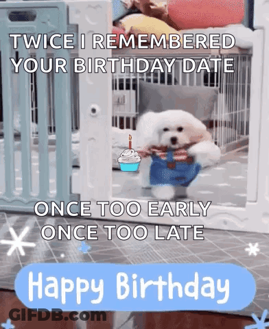 A Small White Dog Is Holding A Cupcake And A Birthday Cake While Wearing A Birthday Outfit . GIF