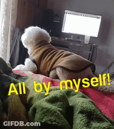 A Small White Dog Is Laying On A Bed With The Words All By Myself Written On It GIF