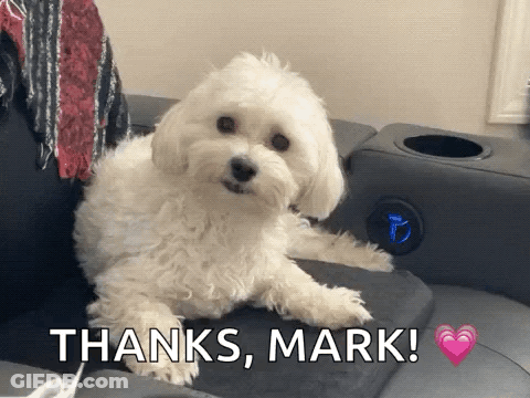 Small White Dog Laying On Couch Thanks Mark GIF
