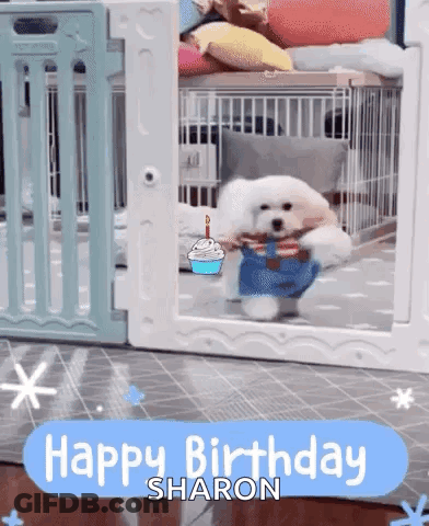 A Small White Dog Is Standing In A Cage With A Birthday Cake And The Words Happy Birthday Sharon . GIF