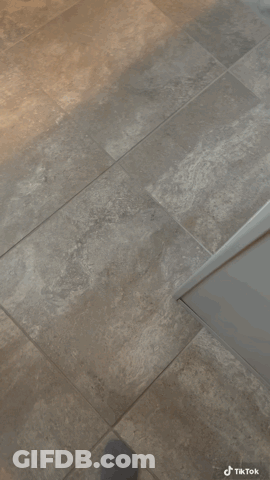 A Small White Dog Is Standing On Its Hind Legs And Looking Up At The Camera GIF