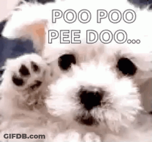 A Small White Dog Is Waving Its Paw And Says `` Poo Poo Pee Doo ... '' . GIF