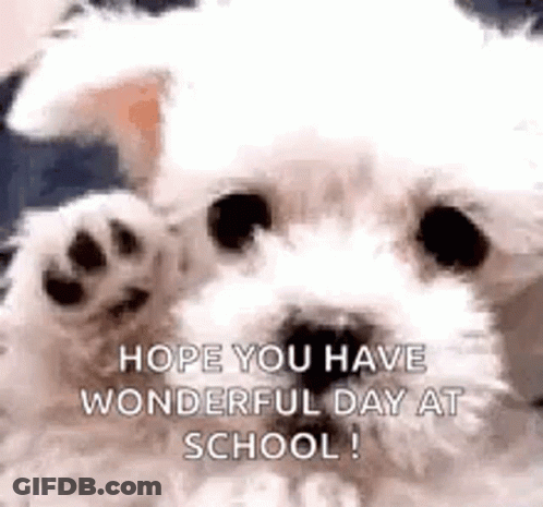 A Small White Dog Is Waving Its Paw At The Camera . GIF