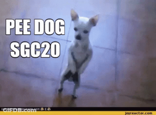 A Small White Dog Standing On Its Hind Legs With The Words " Pee Dog Sgc20 " Written Above It GIF