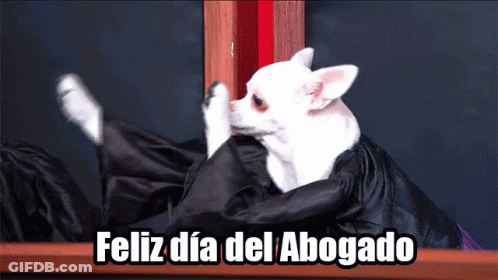 A Small White Dog Wearing A Black Cape With The Words Feliz Dia Del Abogado Written Below It GIF