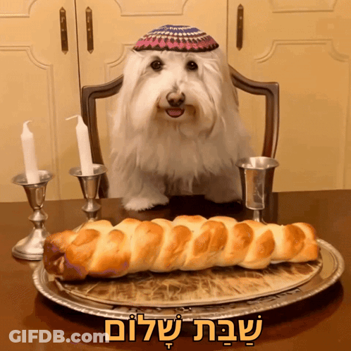 A Small White Dog Wearing A Kippah Sits At A Table With A Loaf Of Bread And Candles GIF