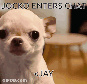 A Small White Dog With A Caption That Says Jocko Enters Chat Jay GIF