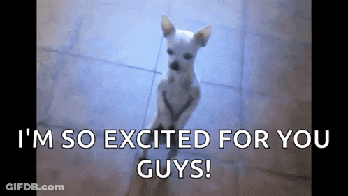 A Small White Dog With The Words I 'M So Excited For You Guys GIF