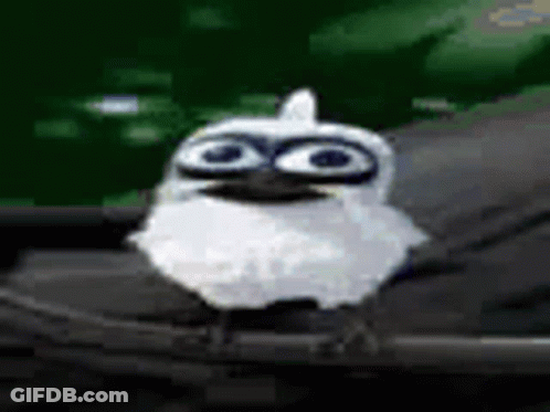 A Small White Owl With Big Eyes Is Sitting On A Black Object . GIF