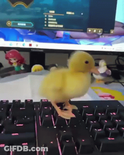 A Small Yellow Duck Is Walking On A Computer Keyboard GIF