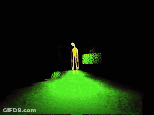 A Smiley Face Is Floating In The Grass GIF