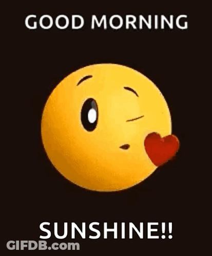 A Smiley Face Is Smiling And Says `` Good Morning Sunshine ! '' GIF