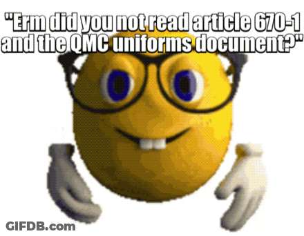 Smiley Face With Glasses And Article 670-1 Text GIF