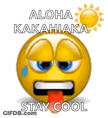 A Smiley Face With The Words Aloha Kakahiaka Stay Cool GIF