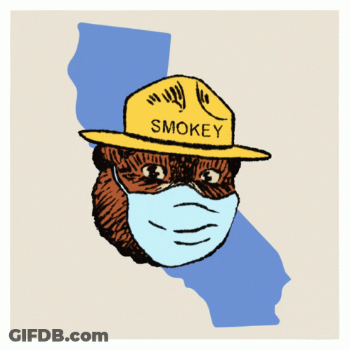 A Smokey Bear Wearing A Mask And A Hat That Says Smokey GIF