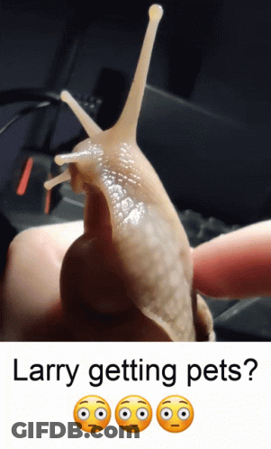 A Snail Is Being Held In Someone 'S Hand And The Caption Says " Larry Getting Pets " GIF