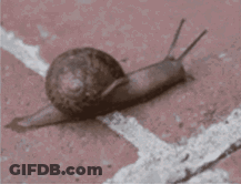 A Snail Is Crawling Along A White Line On A Concrete Surface GIF