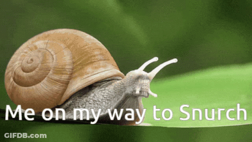 A Snail Is Crawling On A Green Leaf With The Words Me On My Way To Snurch GIF