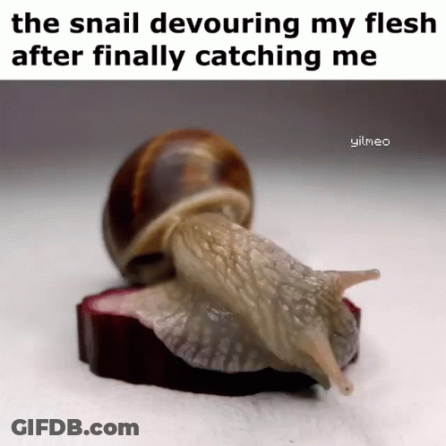 A Snail Is Crawling On A Piece Of Fruit With The Caption " The Snail Devouring My Flesh After Finally Catching Me GIF
