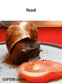 A Snail Is Crawling On A Plate With A Slice Of Tomato Next To It . GIF