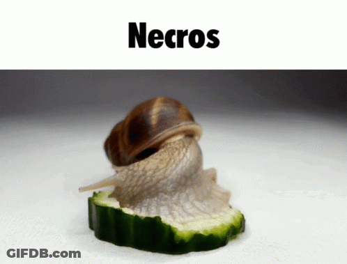 A Snail Is Crawling On A Slice Of Cucumber With The Word Necros Above It GIF