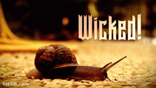 A Snail Is Crawling On The Ground With The Words Wicked Written Above It GIF