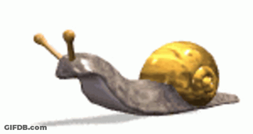 A Snail With A Golden Shell Is Crawling On A White Surface GIF