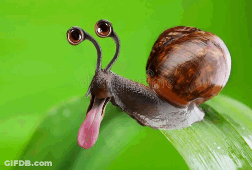 A Snail With A Long Tongue Sticking Out Is Sitting On A Leaf . GIF