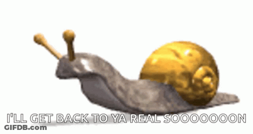 A Snail With The Words " I 'Ll Get Back To Ya Real Soooooon " Written Below It GIF