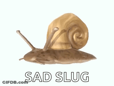 A Snail With The Words Sad Slug Written Below It GIF