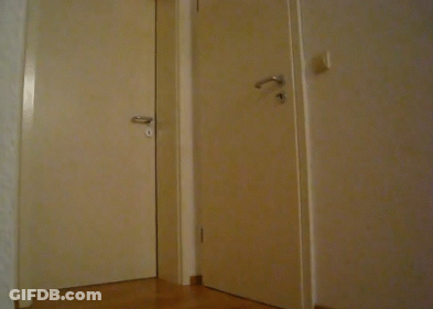 A Snake Is Crawling Out Of A Doorway In A Room GIF