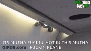 A Snake Is Crawling Out Of The Ceiling Of An Airplane . GIF