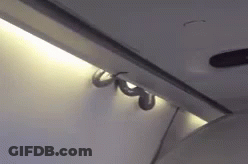 A Snake Is Crawling Through The Ceiling Of A Plane . GIF