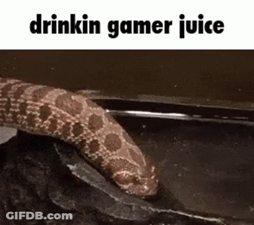 A Snake Is Drinking A Glass Of Gamer Juice From A Rock . GIF