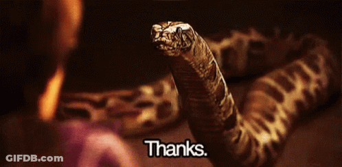 A Snake Is Laying On A Table With The Words Thanks Below It GIF