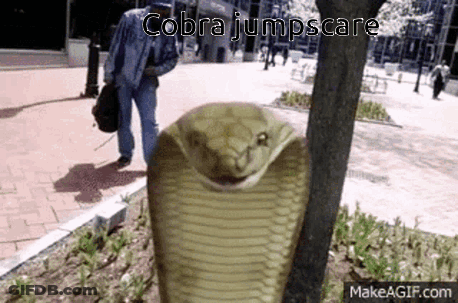 A Snake Is Standing Next To A Tree In A Park With A Man Walking Behind It . GIF