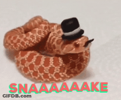 A Snake Wearing A Top Hat With The Words Snaaaaake Written Below It GIF