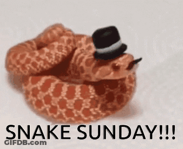 A Snake Wearing A Top Hat With The Words `` Snake Sunday '' Written On It . GIF