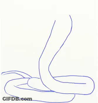 A Snake With Its Mouth Open And A Long Tail GIF